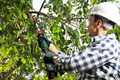 Bosch AdvancedPrune beskjæringssaks 18 V